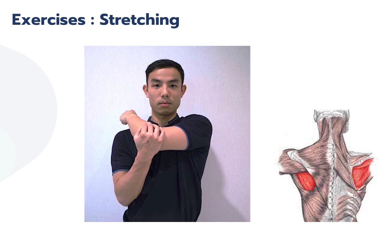 Exercise Stretching