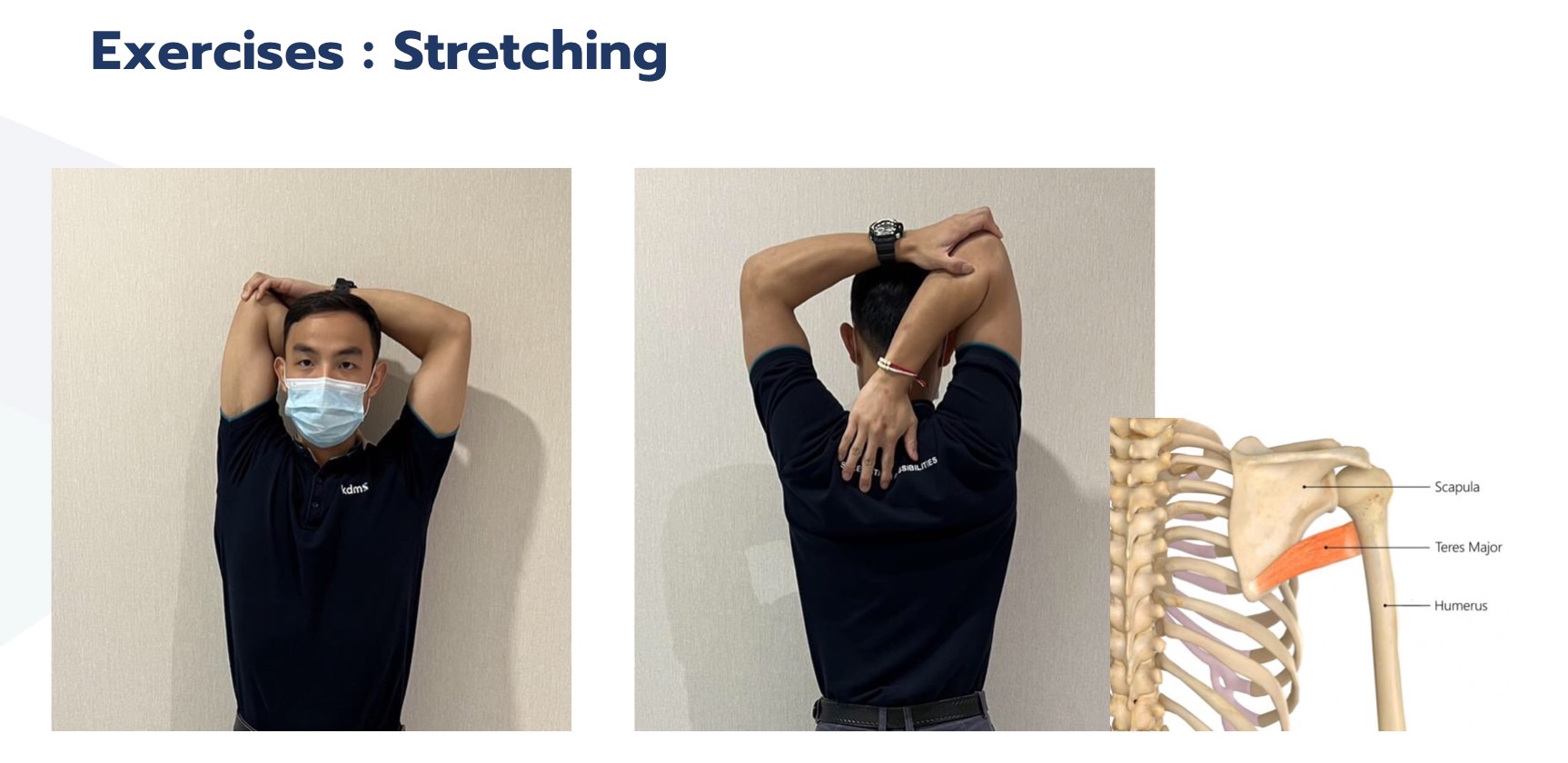 Exercise Stretching